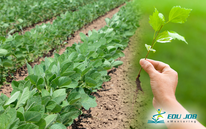 Βιολογική Γεωργία: Ένας κλάδος με μέλλον